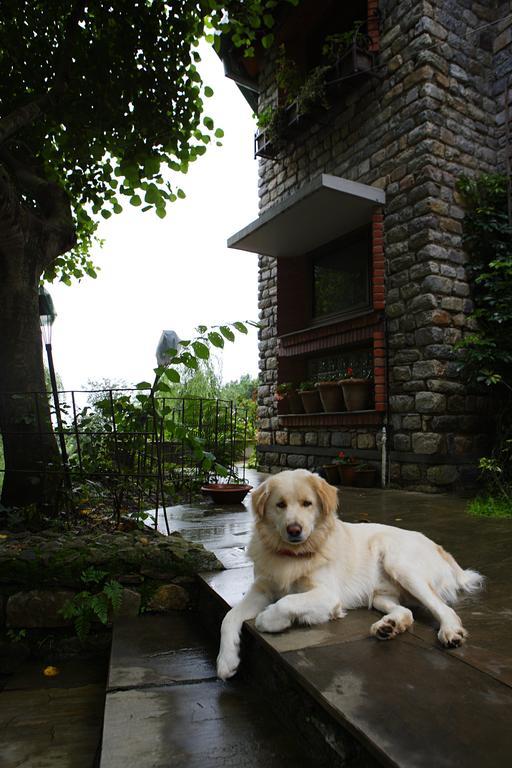 Saffronstays Himalaica, Nainital Bhowali Екстериор снимка