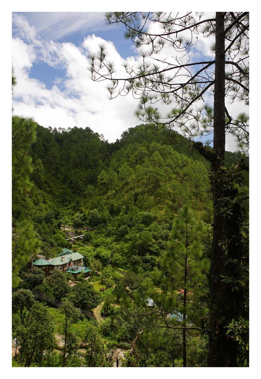 Saffronstays Himalaica, Nainital Bhowali Екстериор снимка